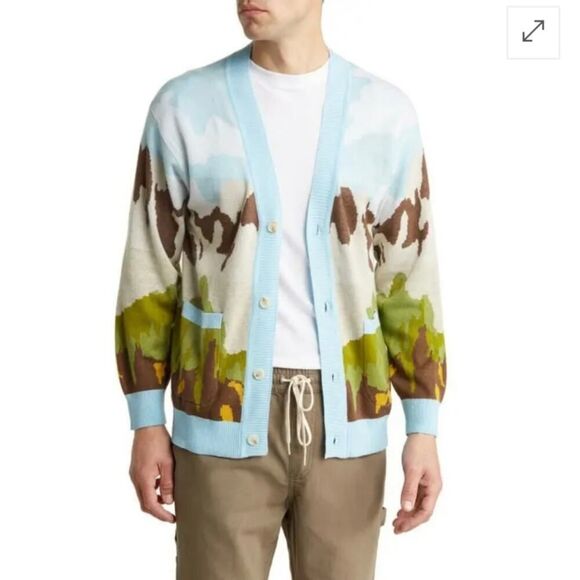 PacSun Scenic Cotton V-Neck Cardigan sz M - Picture 1 of 9